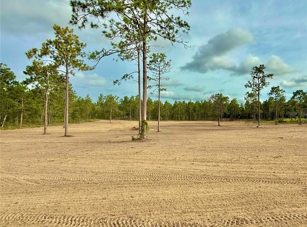 Tbd SE 60TH STREET, MORRISTON, FL 32668