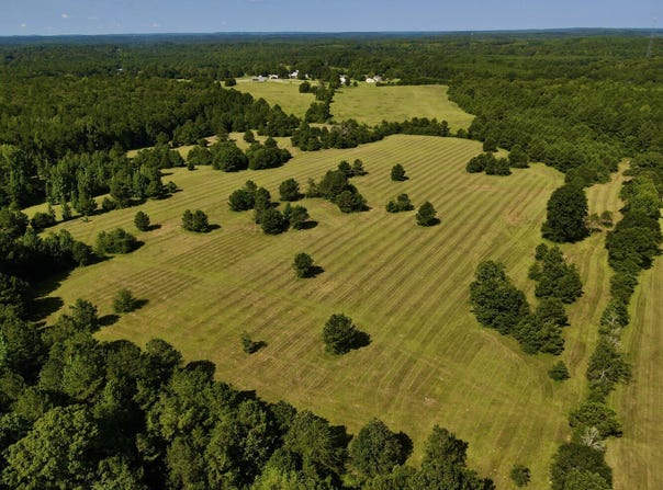 0 Hwy 145, Shelby, AL 35143