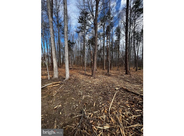 Lot 74 COMPASS COVE, MINERAL, VA 23117