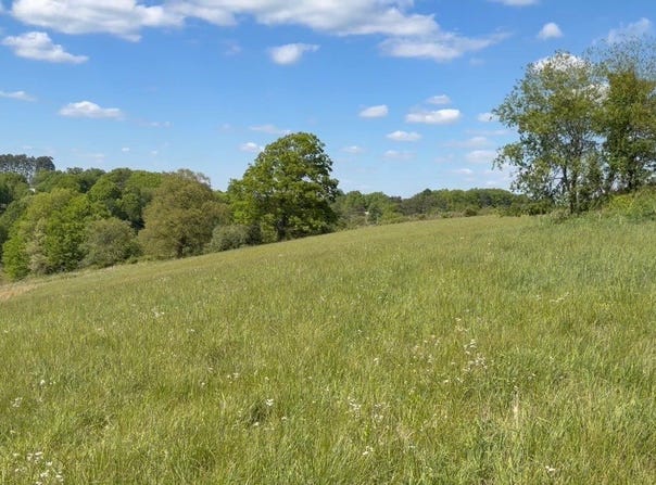 1391 Lower Adkinstown Rd, McKee, KY 40447