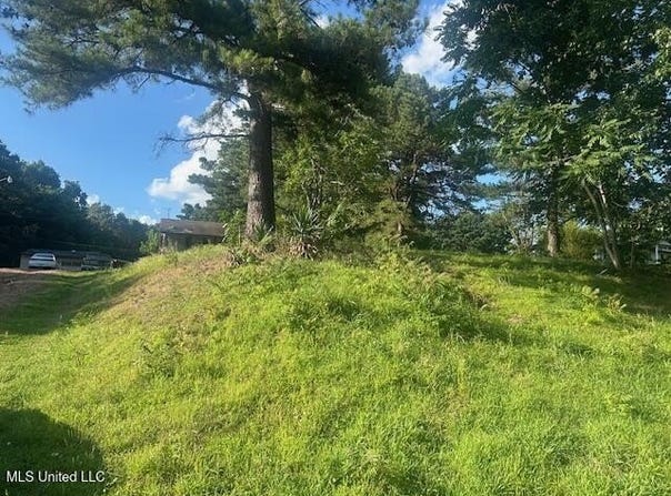 196 Pleasant Hill Road, Nesbit, MS 38651