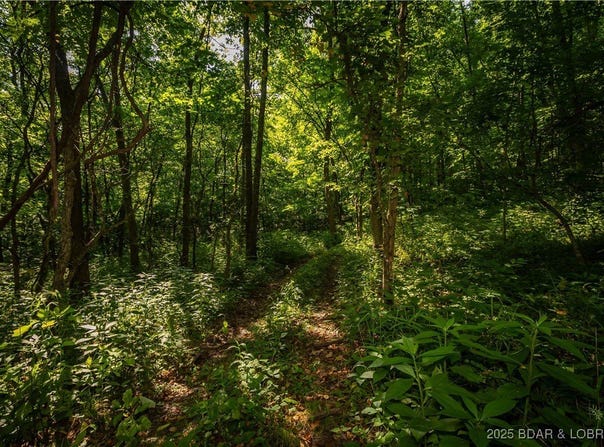 Beechnut, Stover, MO 65078