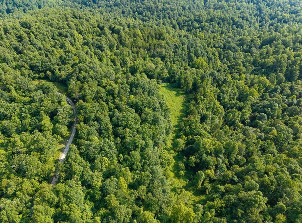 500 Clay Camp Road Road, Hitchins, KY 41146