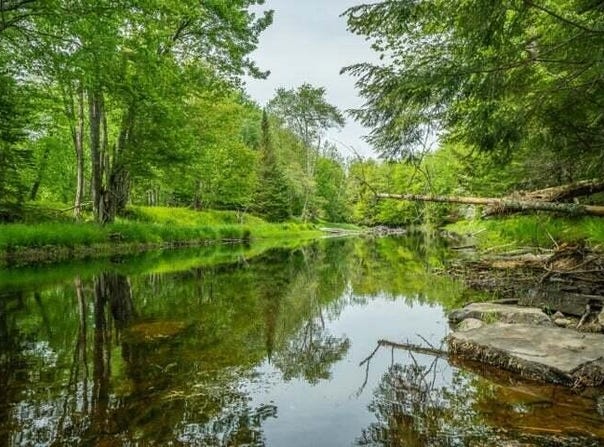 Appleton Ridge Road lot: 88-2, Searsmont, ME 04973