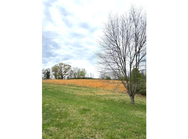 Lot 1 Springhouse LN, Rocky Mount, VA 24151