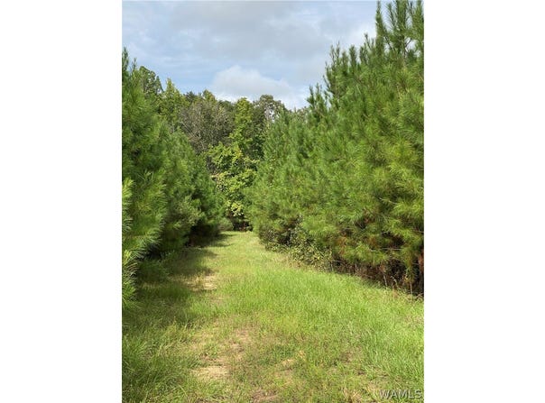 hwy 69, Gallion, AL 36742