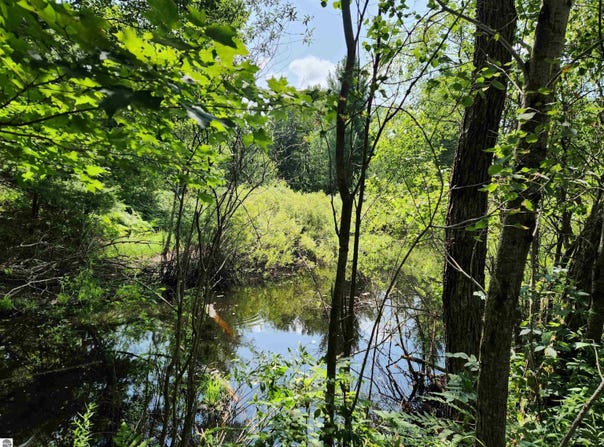 500 EAST TRAIL, KALKASKA, MI 49646