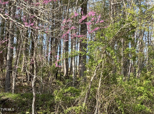 2 Lots Powell Valley Road Road, Big Stone Gap, VA 24219