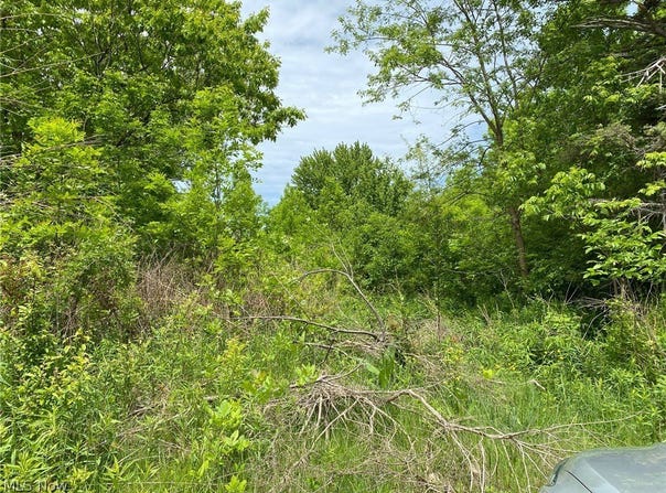 5323 N River State Rd 307, Geneva, OH 44041