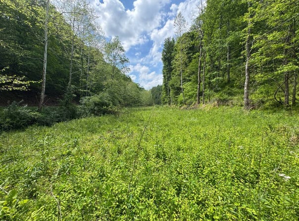 0 Rush Run, Normantown, WV 25267