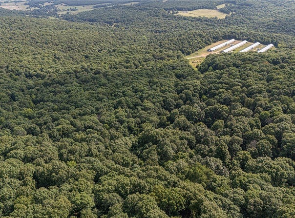 Malico Mountain Road, West Fork, AR 72774