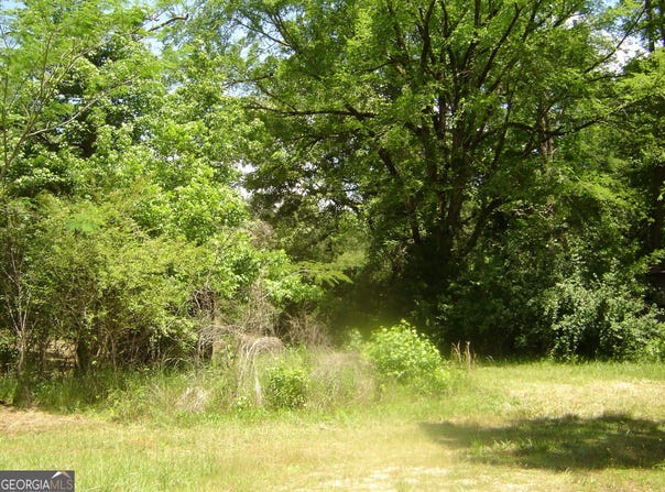 0 County Road 213, Lanett, AL 36863
