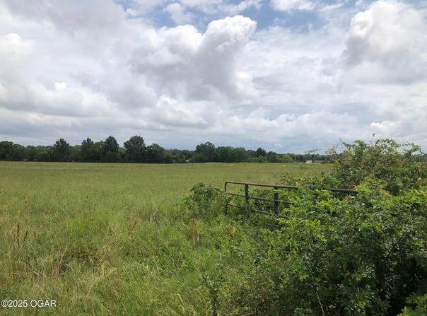 Tbd Jasper Cty / Route YY, Carl Junction, MO 64834