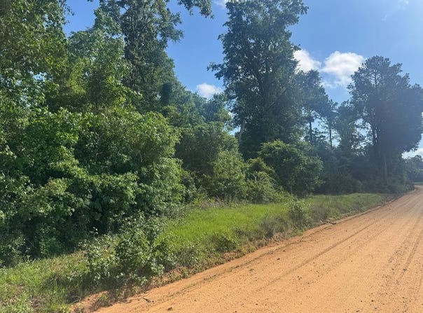 Moore Meadow Drive lot: #20, Georgetown, GA 39854
