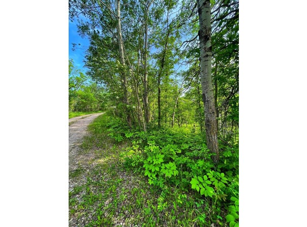 554 Birchwood Heights, Bottineau, ND 58318