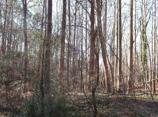 110 Frank Road, Cary, NC 27518