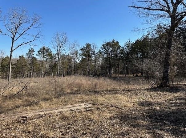 Warden  RD, Omaha, AR 72662