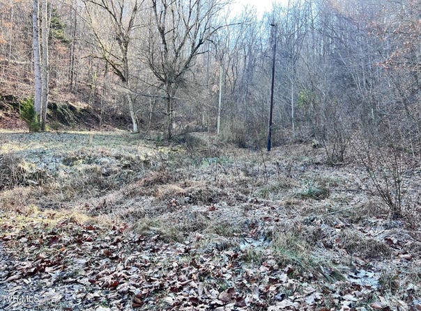 Tract 1 Bundren Mountain Road, Tazewell, TN 37879