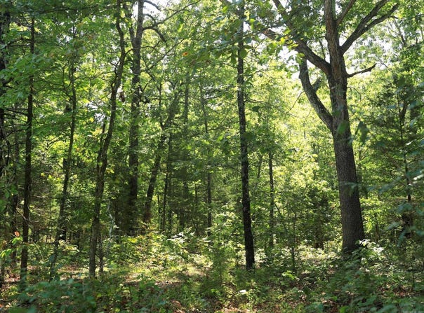 602 Catbird Circle, Horseshoe Bend, AR 72512