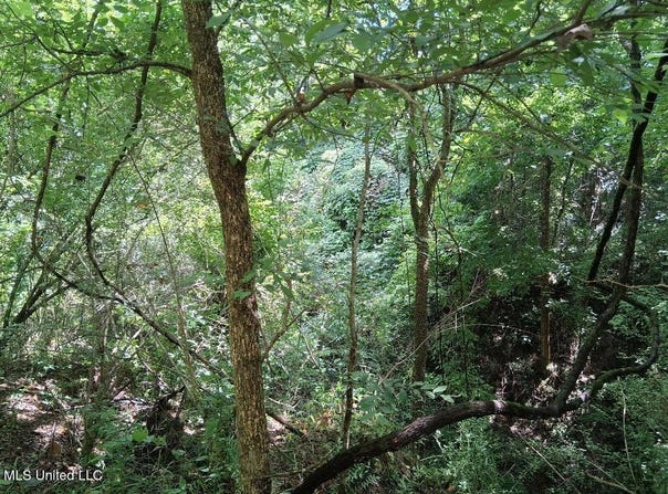 N Azalea Lane lot: 26, Natchez, MS 39120