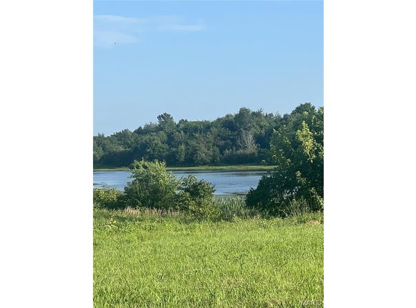 1393 Warren Lake Drive, Jackson, MO 63755
