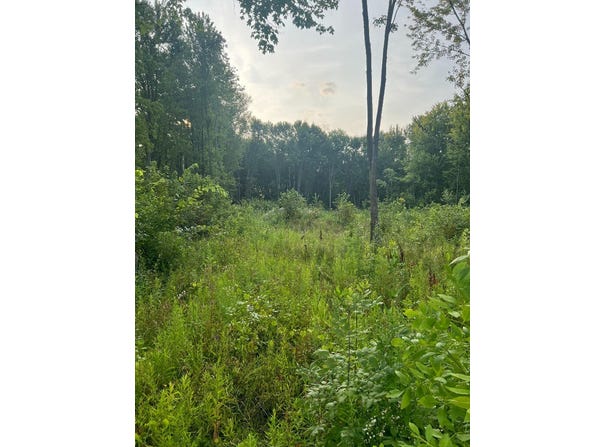 51760 S Foster Road, Chesterfield, MI 48047