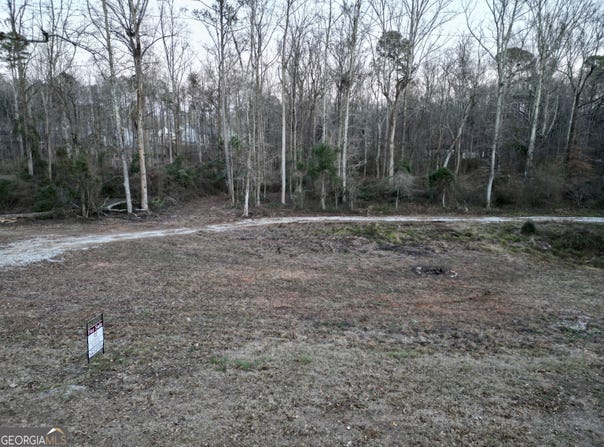Tract 1 J B Owens, Bethlehem, GA 30620