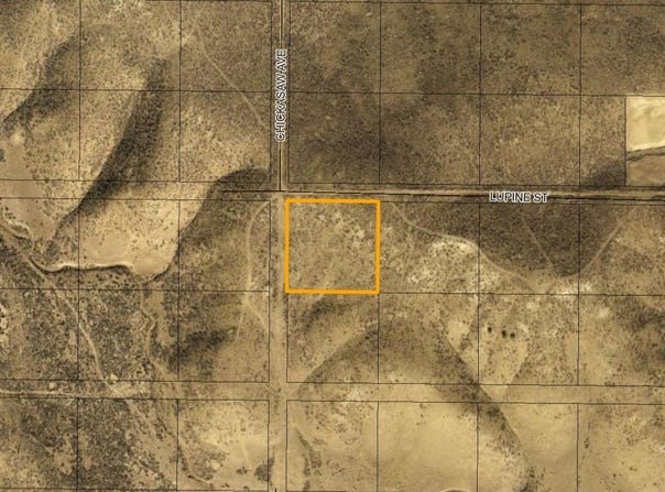 Lupine/Chicksaw Street, Elko, NV 89801
