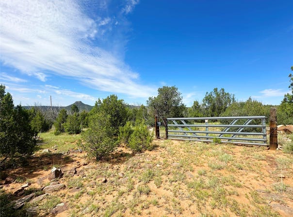 10 Acres On County Road B26D, NM 87569