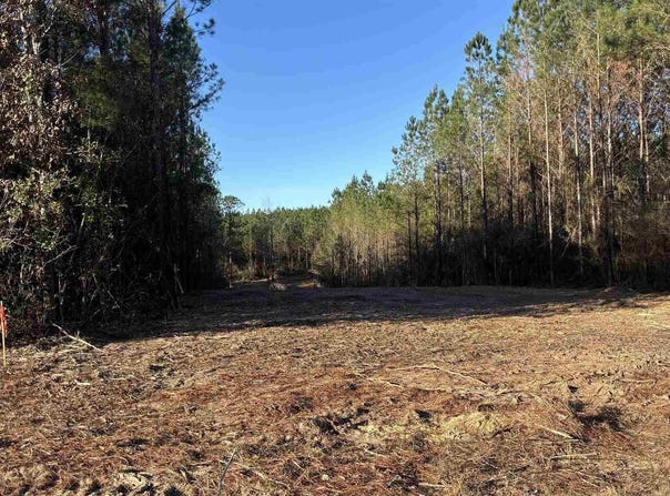 Straw Bridge Rd lot: 59, Jay, FL 32565
