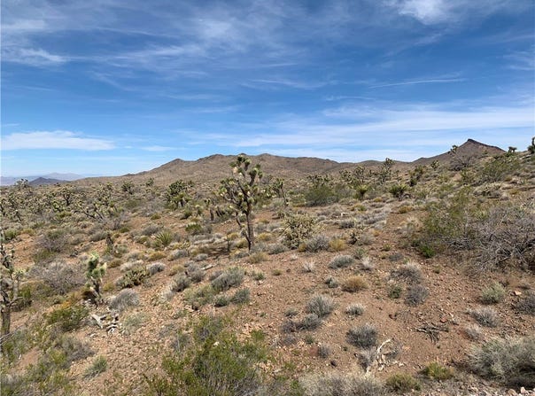 54 W Red Willow Springs Road, White Hills, AZ 86445