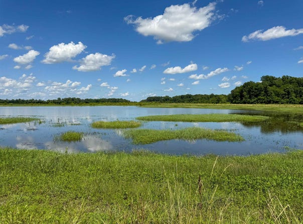 Lawrence Rd 348, Alicia, AR 72410