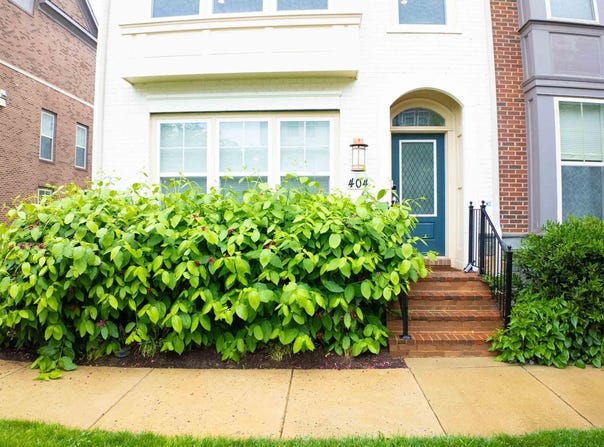 404 HENDRIX AVENUE, GAITHERSBURG, MD 20878