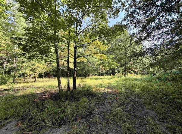 54.5 Acres Epps Rd., New Zion, SC 29111