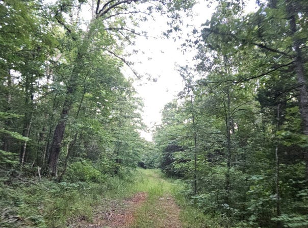 009 Tomahawk Slab Road, Saint Joe, AR 72675