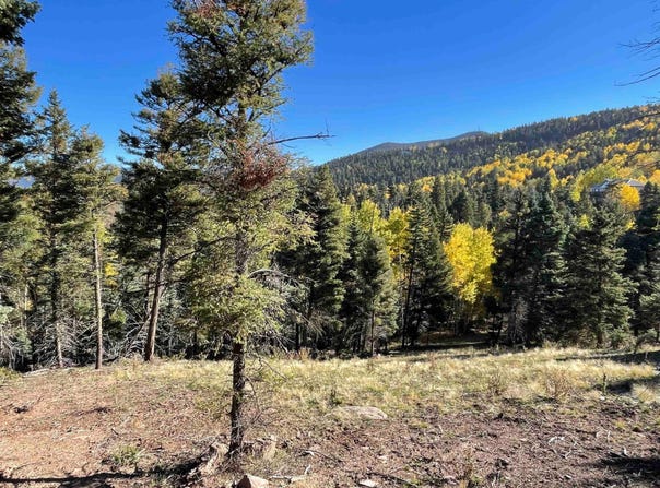 Vail Loop lot: 373, Angel Fire, NM 87710