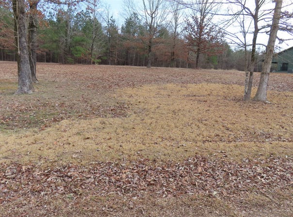 Water's Edge, Taylor, AR 71861