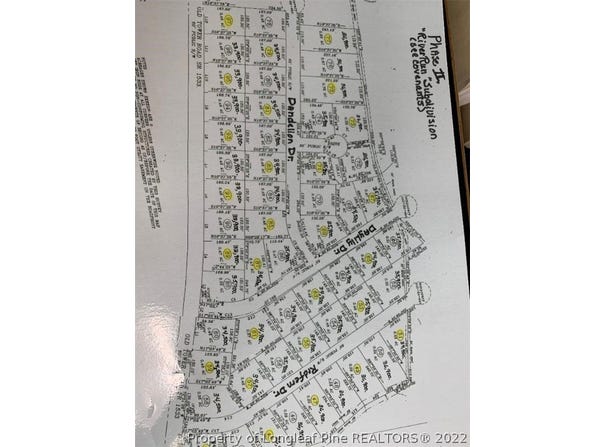 DANDELION Drive, Lumberton, NC 28360
