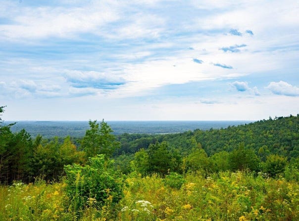 1525 Barker Road, Palmer, TN 37365
