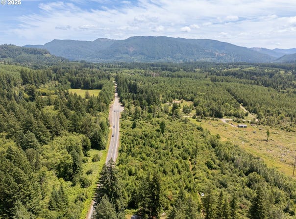 0 Lewis River RD, Ariel, WA 98603