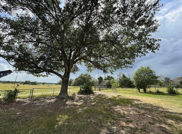 4317 Farm To Market Road 955, Fayetteville, TX 78940
