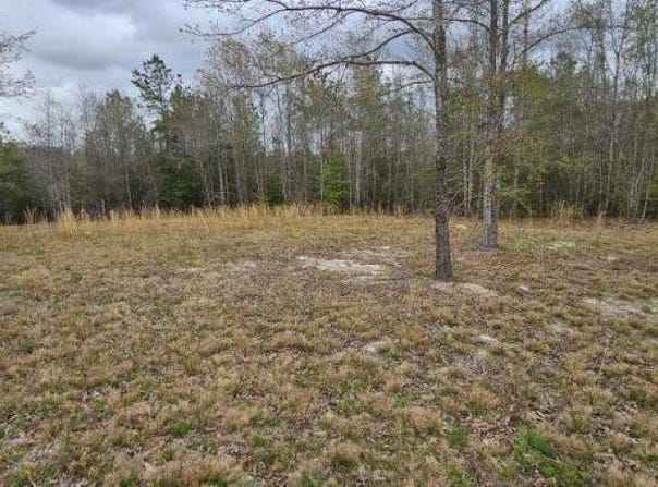 0 Butler St, Goodway, AL 36445