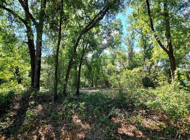 162 PUTNAM LOOP ROAD, MELROSE, FL 32666