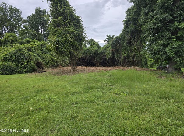 1513 Lincoln Street, New Bern, NC 28562