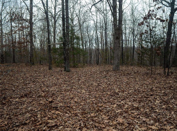 Nubbin Ridge Road, Ravenden Springs, AR 72460