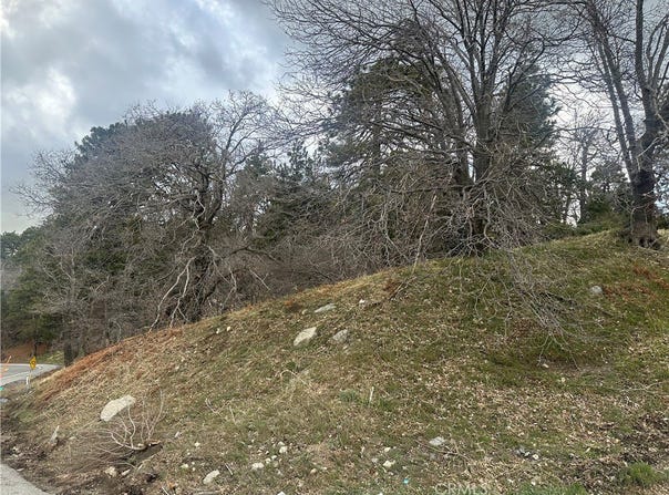 0 Torrey Road, Cedar Glen, CA 92321