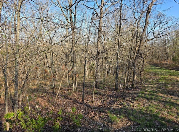 Galvin Place, Edwards, MO 65326