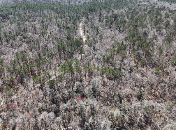 Old Meriwether Trail, Panola, AL 36046