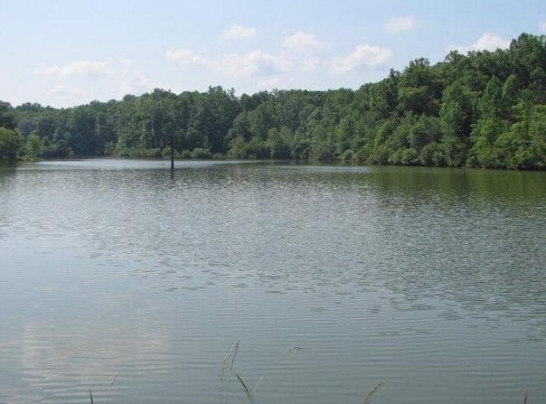 7715 LYNCH ROAD, MIDLAND, GA 31820