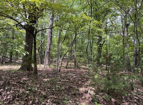 TBD Trestle  ST, Winslow, AR 72959